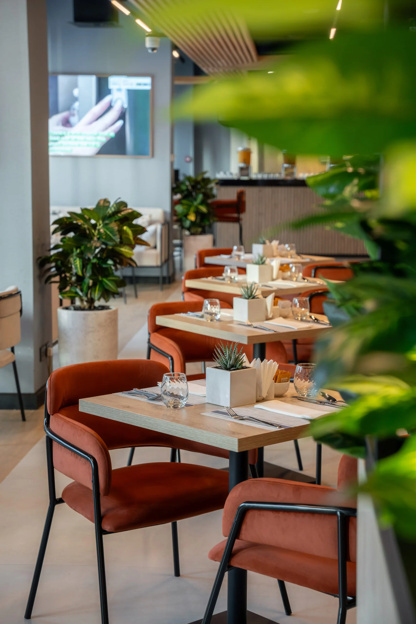 TT Lounge project imagery